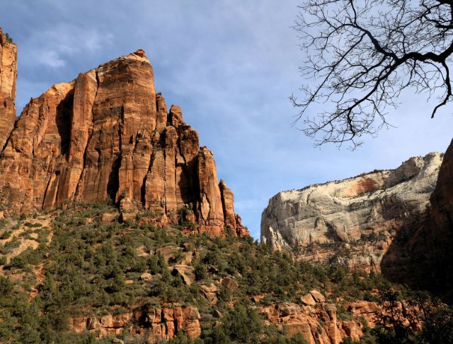 Zion Narrows Hike Guide
