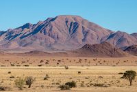 The World’s Strangest African Border