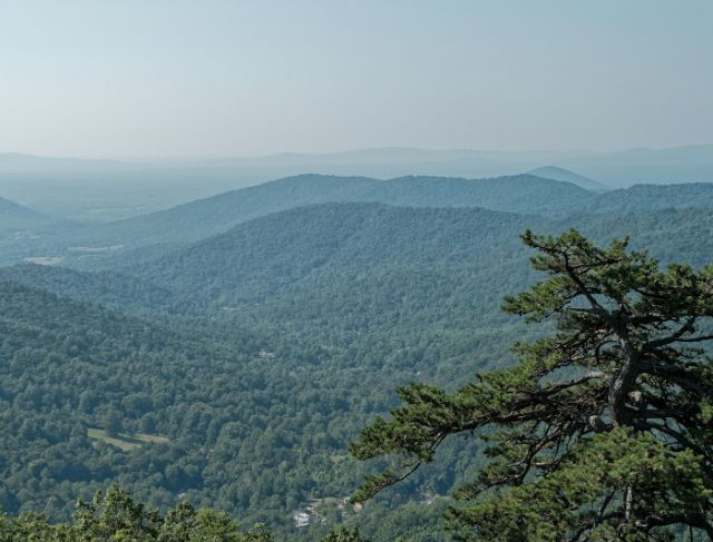 Shenandoah's Best Trail for Adventure Lovers