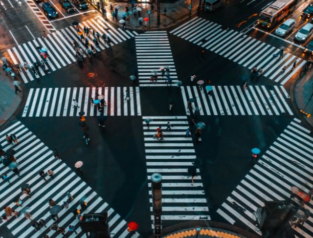 Shibuya Crossing, Wagyu Steak & First-Time Tokyo Travel