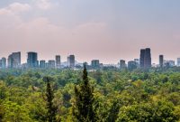 Forest City Malaysia, Is the Chinese-Built Development Really a Ghost Town Forest City Malaysia, Is the Chinese-Built Development Really a Ghost Town?