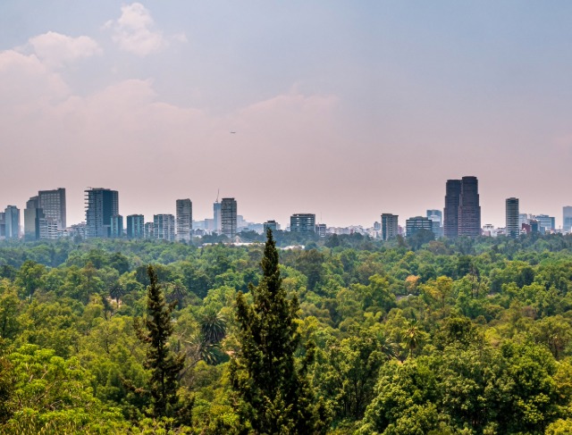 Forest City Malaysia, Is the Chinese-Built Development Really a Ghost Town?