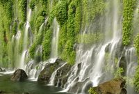 Local Adventures of Village Life in Mindanao Local Adventures of Village Life in Mindanao